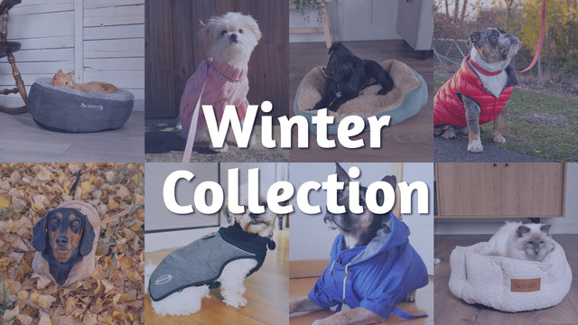 Winter Collection 2025