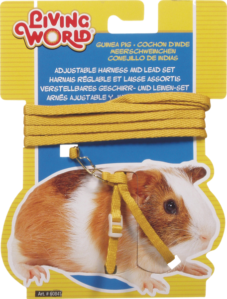 Guinea pig harness and lead hot sale