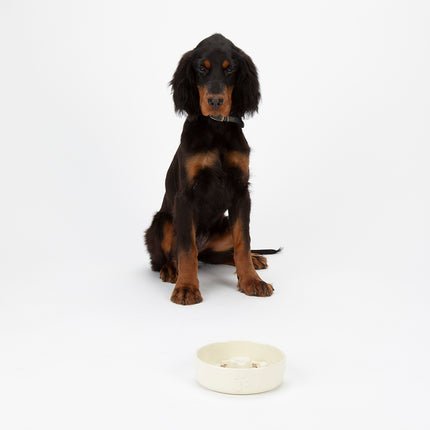 Scruffs - Icon Slow Feeder Pet Bowl Cream (16cm)