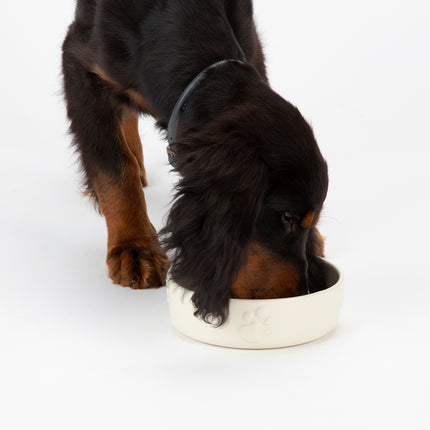 Scruffs - Icon Slow Feeder Pet Bowl Cream (20cm)