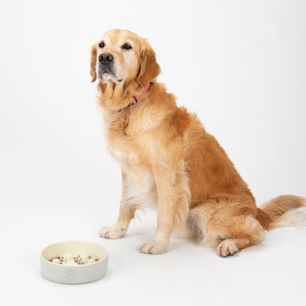 Scruffs - Icon Slow Feeder Pet Bowl Light Grey (16cm)