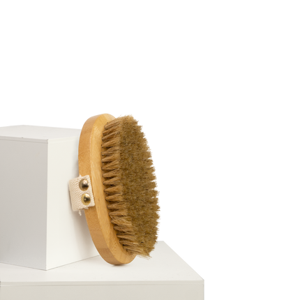 Dan & Sam - Bamboo Palm Held Brush