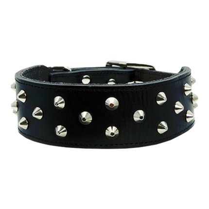 Dan & Sam - Genuine Leather Staffy Collar (Black)
