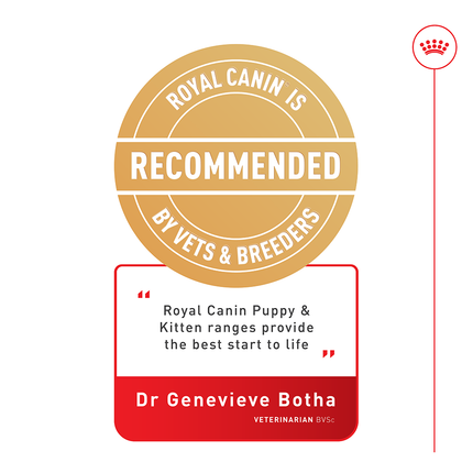 Royal Canin - Kitten in Loaf Cat Wet Food (85g x 12pk)