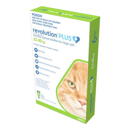 Revolution Plus - Large Cat (6pk)