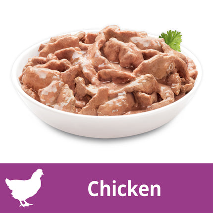 My Dog - Adult Tender Chicken Fillets in Gravy Dog Wet Food (6pk x 100g)