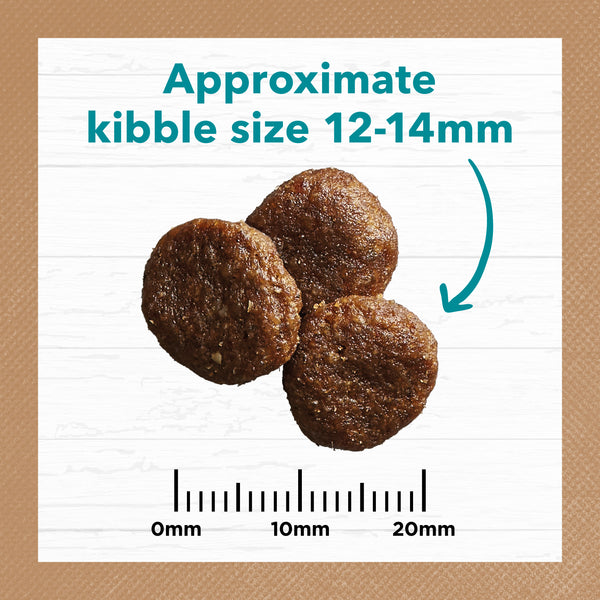 Ivory Coat Grain Free Adult Dry Dog Food Salmon & Ocean Fish (13kg