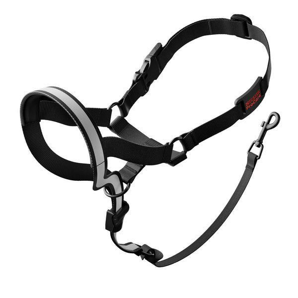 ProCare Head Collar (Size S) Pets Domain
