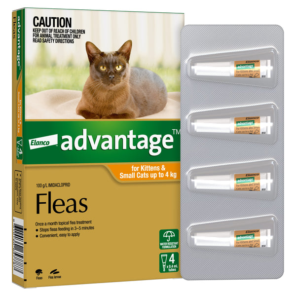 Flea treatment safe clearance for pregnant cats