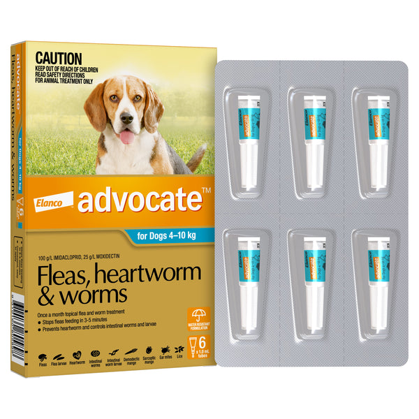 Advocate Dog 4 10kg 6pk Pets Domain