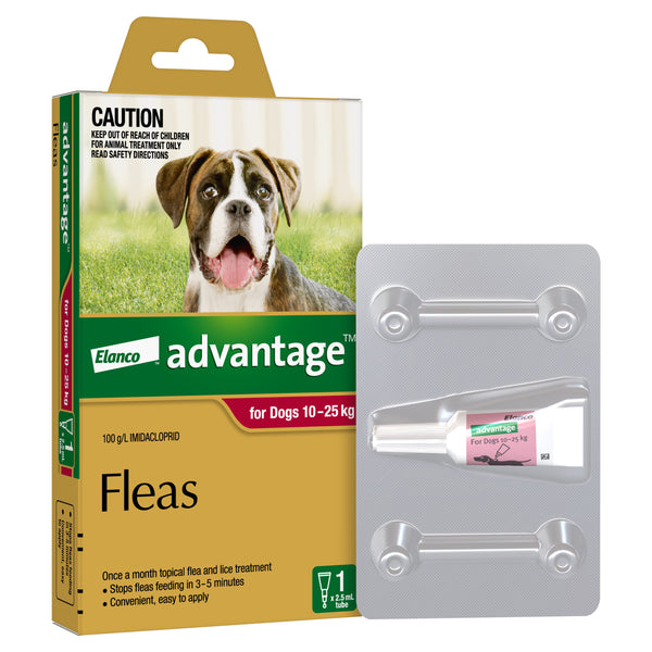Advantage Flea Treatment For Dogs 10 25Kg 1Pk Pets Domain preview