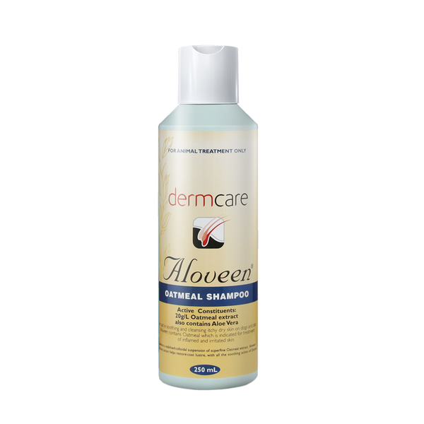 Dermcare top aloveen shampoo