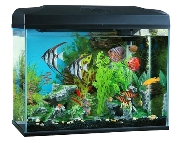 Blue Planet Classic Aquarium 70L Pets Domain