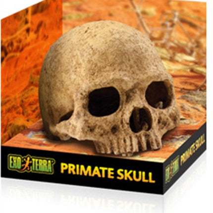 Exo Terra - Primate Skull