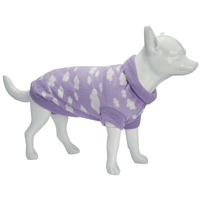 Dan & Sam - Dog Jumper (Dreamer) - 40cm
