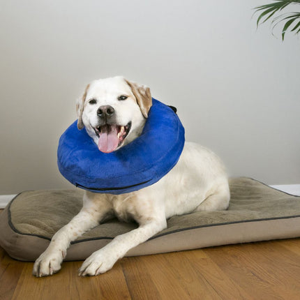 KONG - Cushion Cloud Protective Collar (Medium)