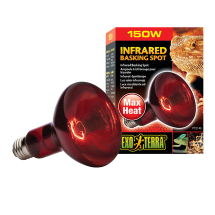 Exo Terra - Heat Glo Infrared Heat Lamp (150w)