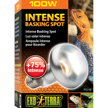 Exo Terra - Sun Glo Basking Spot Lamp (100w)