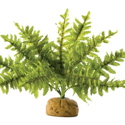 Exo Terra - Boston Fern (Small)