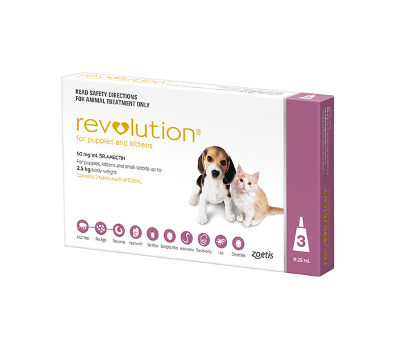 Revolution for 2024 puppies kittens