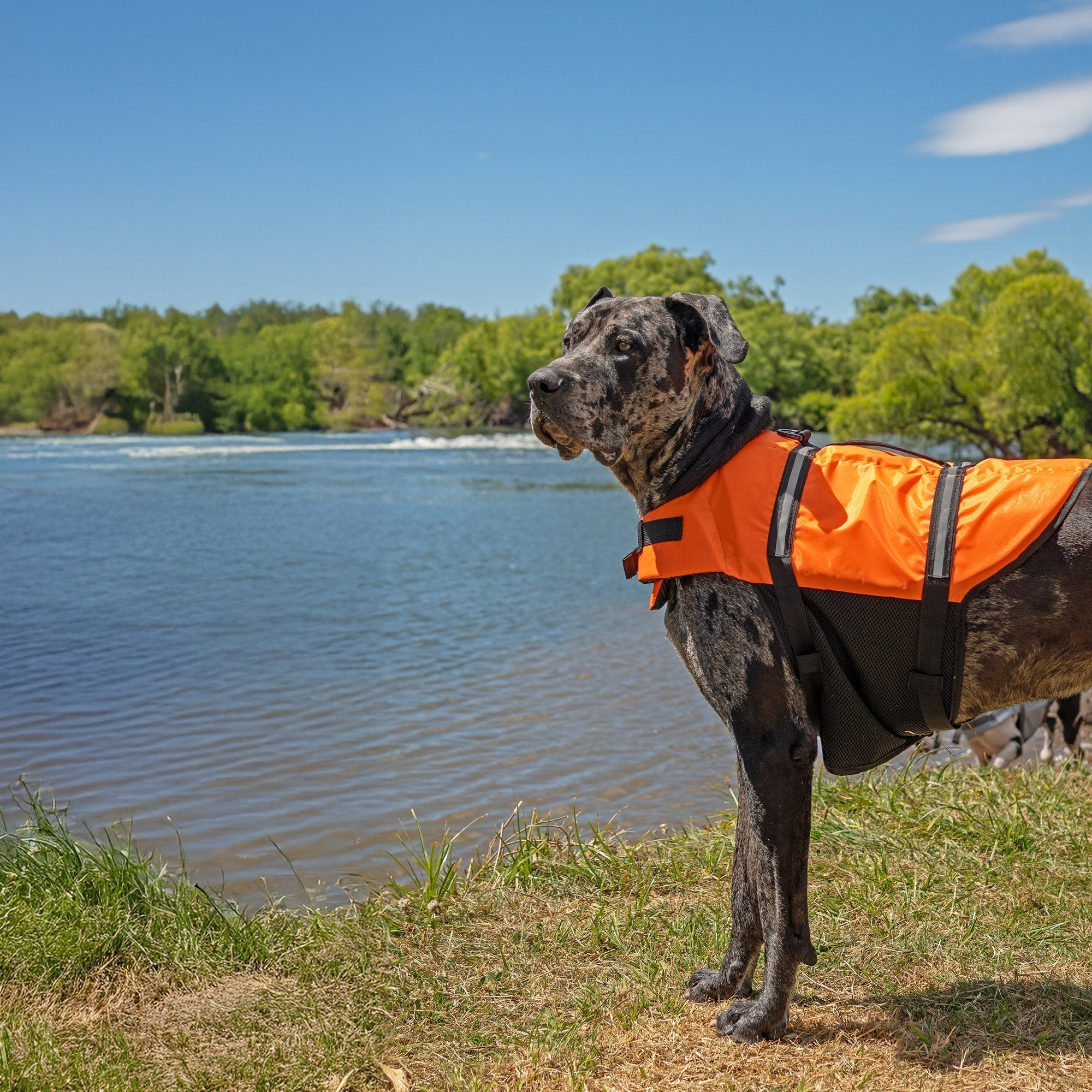 Safety Around Water