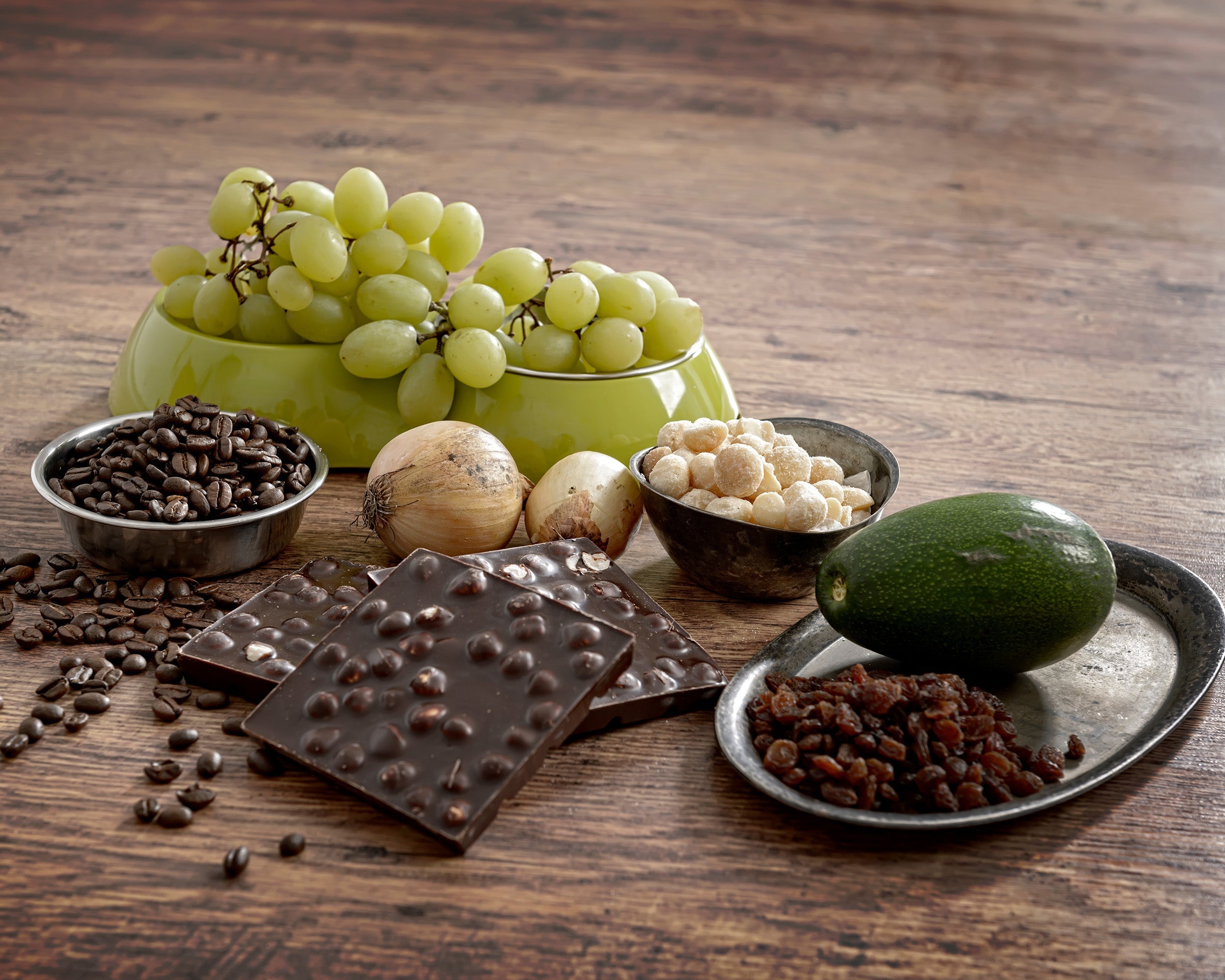 Toxic Food for Dogs