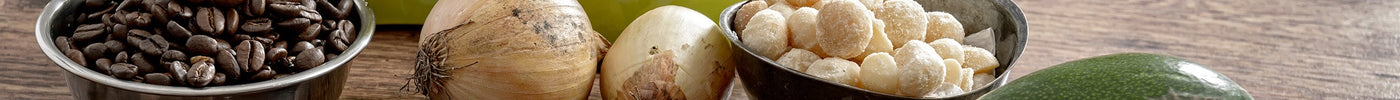 Toxic Food for Dogs
