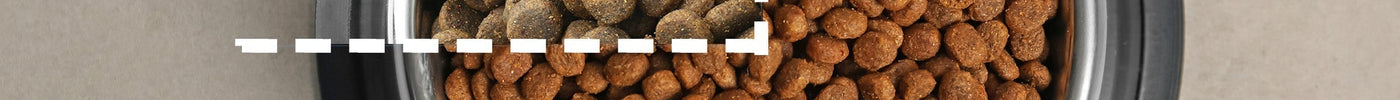 Transitioning Your Dog or Cat to a Different Food