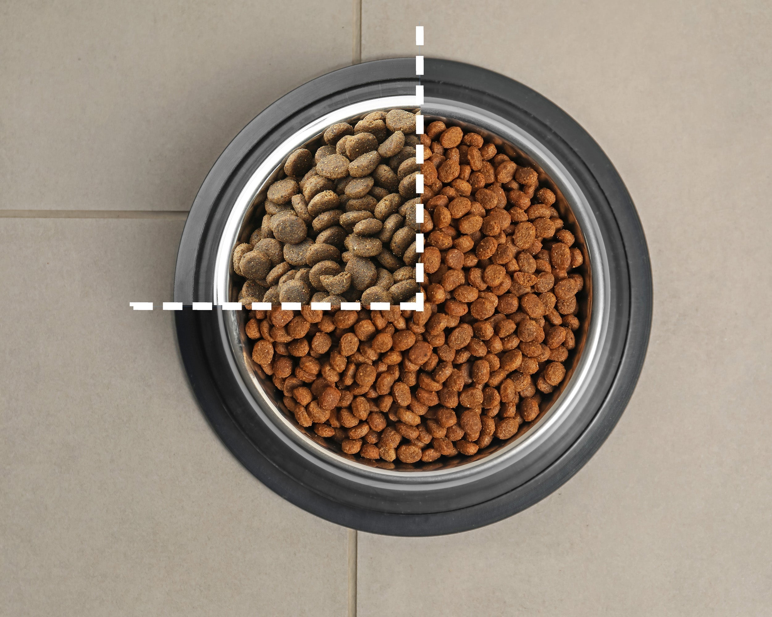 Transitioning Your Dog or Cat to a Different Food