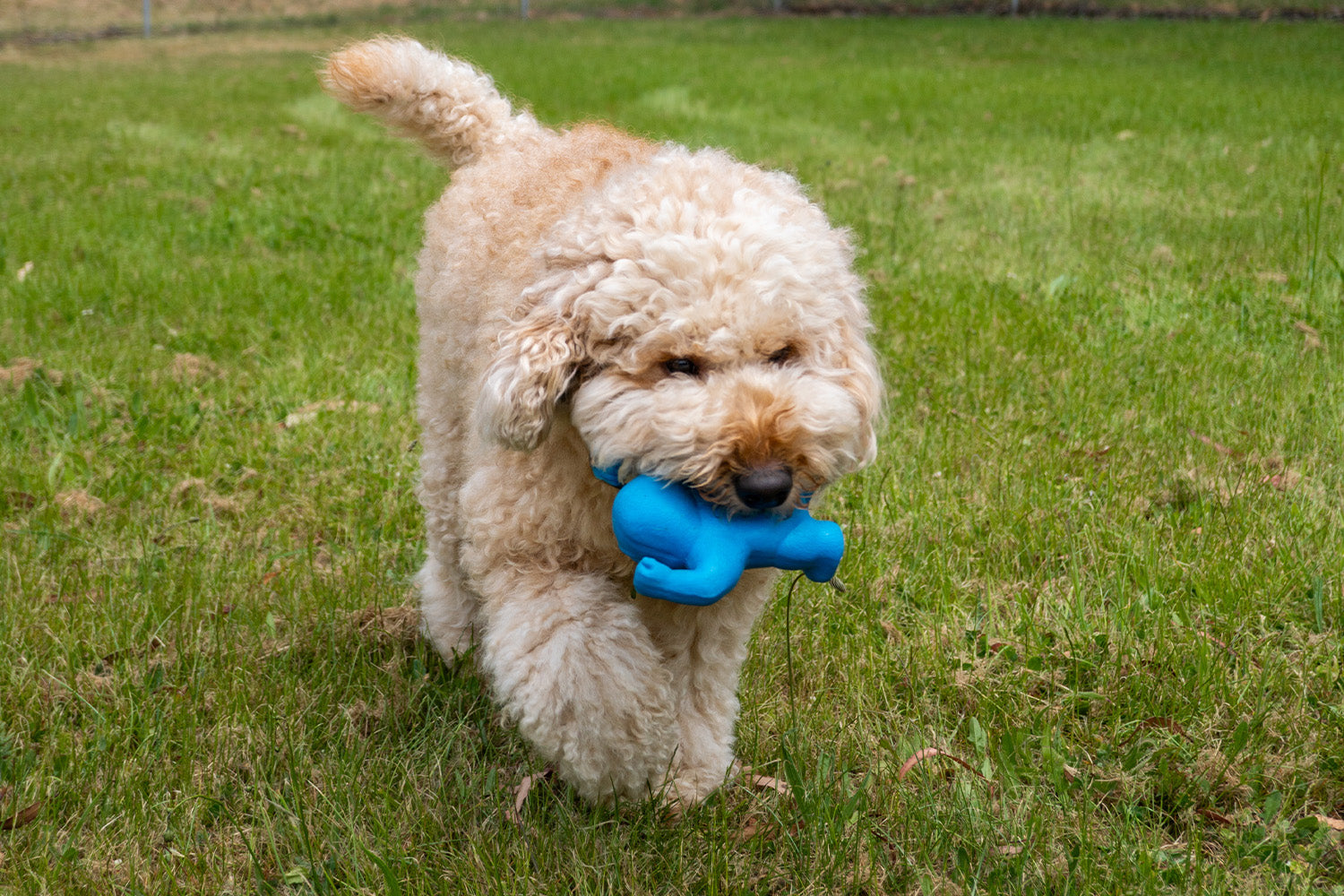Different Toys for Different Play Types