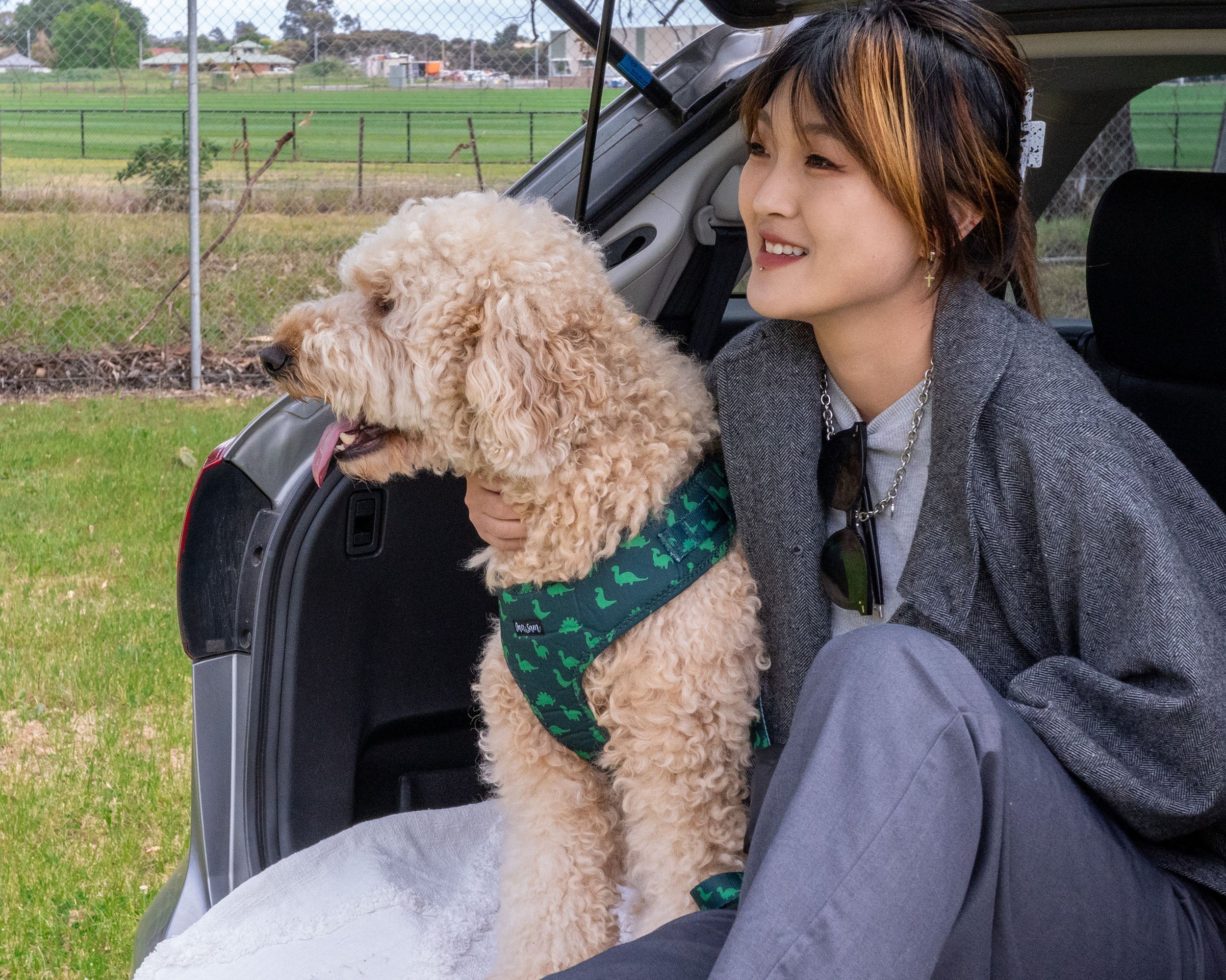 Travelling With Your Pets