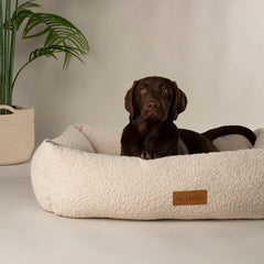 Collection image for: Scruffs Pet Beds