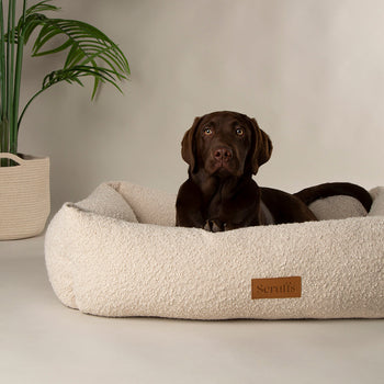 Scruffs Pet Beds