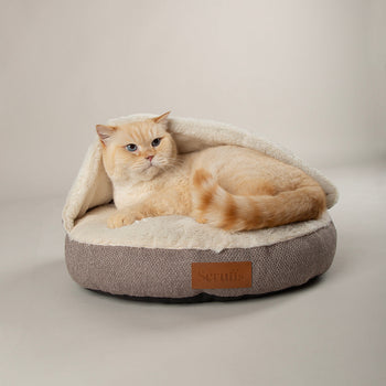 Scruffs Cat Beds