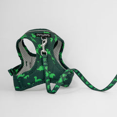 Collection image for: Dan & Sam Dinosaur Land Cat Walkwear