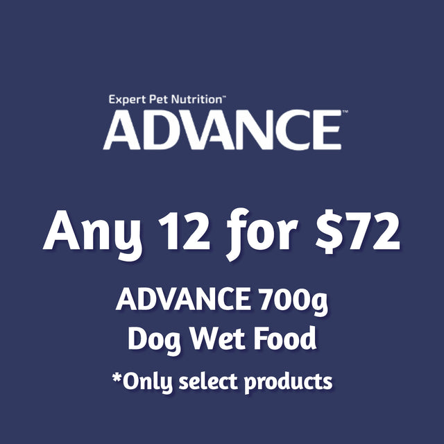 ADVANCE 700g Dog Wet Food Multi-Buy - 12 for $72