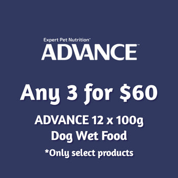 ADVANCE 100g x 12pk Dog Wet Food Multi-Buy - 3 for $60