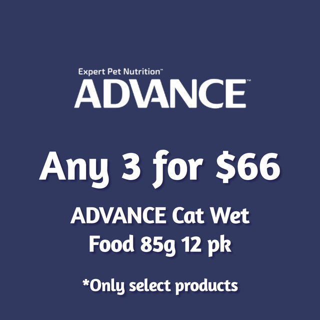 ADVANCE Cat Wet Food 12 x 85g Multi-Buy 3 for $66