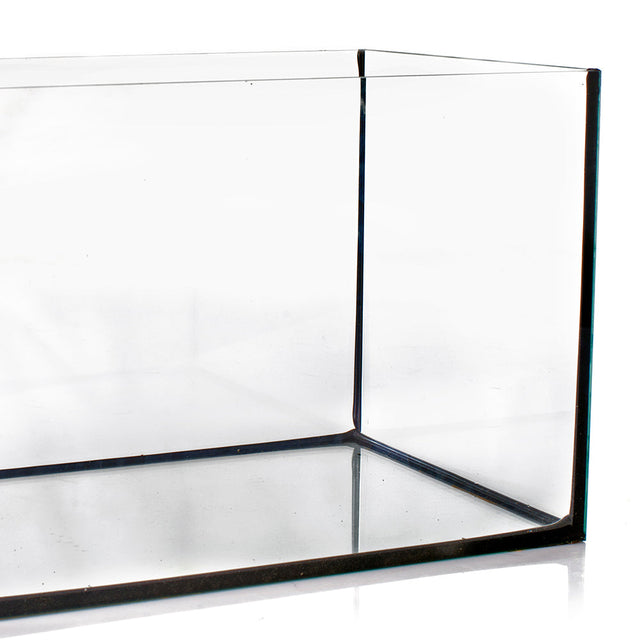 Fish Tanks & Aquariums