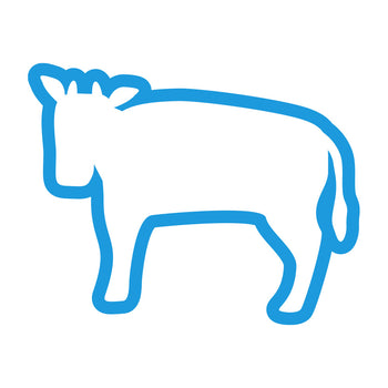 Dog Food - Beef