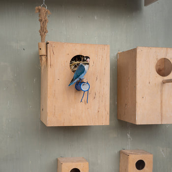 Bird Breeding Boxes