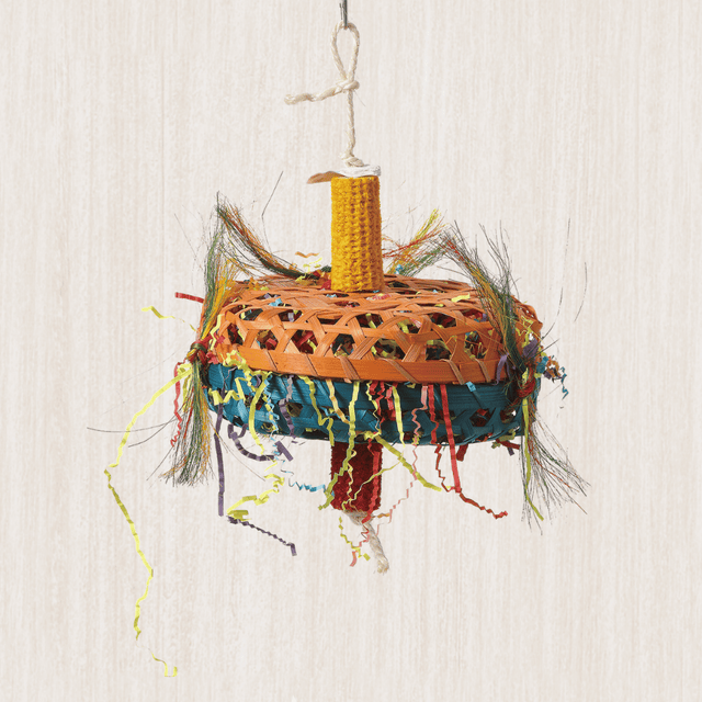Bird Foraging Toys