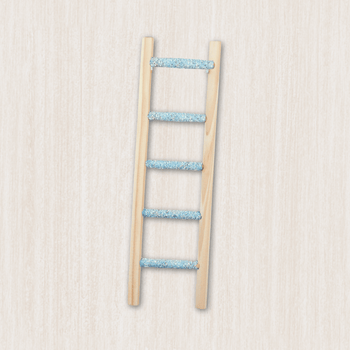 Bird Ladders