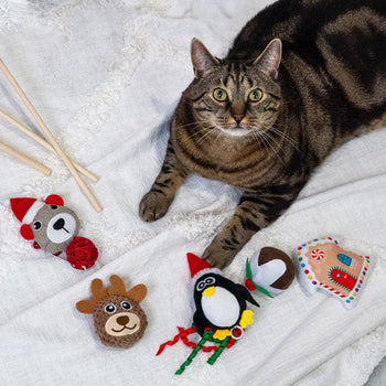 Cat Christmas Toys