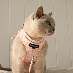 Collection image for: Dan & Sam Daisy Picnic Cat Walkwear