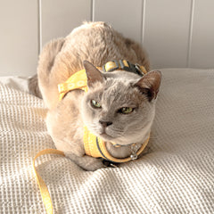 Collection image for: Dan & Sam Wild Sunflower Cat Walkwear