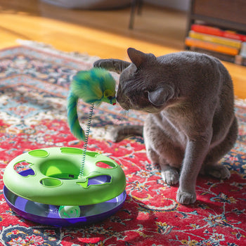 Cat Mouse Toys