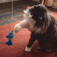 Collection image for: Cat Wand Toys