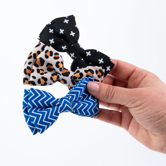 Cat Bowtie Collars