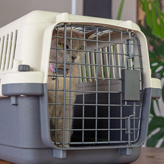 Collection image for: Cat - Carriers